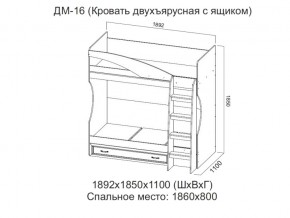 ДМ-16 Кровать двухъярусная с ящиком в Верещагино - vereshchagino.magazin-mebel74.ru | фото