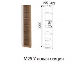 М25 Угловая секция в Верещагино - vereshchagino.magazin-mebel74.ru | фото