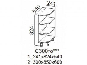 С300то Стол-рабочий 300 (торцевой открытый) в Верещагино - vereshchagino.magazin-mebel74.ru | фото