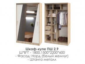 шкаф-купе ПШ-2.9 1500 Норд Белый жемчуг 1500 в Верещагино - vereshchagino.magazin-mebel74.ru | фото