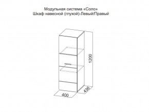 Шкаф навесной (глухой) Левый в Верещагино - vereshchagino.magazin-mebel74.ru | фото