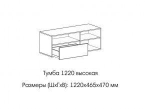 Тумба 1220 (высокая) в Верещагино - vereshchagino.magazin-mebel74.ru | фото